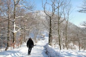 Aktuelles: Wellness tut im Winter gut - Nach einem Spaziergang im Schnee locken Solebad und Sauna
