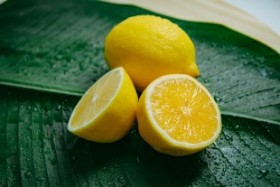 Aktuelles: Warum Zitronenwasser positiv für die Gesundheit ist