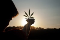 Aktuelles: Medizinisches Cannabis auf Rezept: Wogegen wird es verordnet?