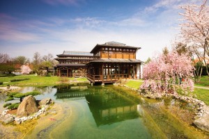 Japanischer Garten - Bad Langensalza Thüringen Deutschland