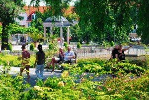 Kuren in Deutschland: Eisenmoorbad Bad Schmiedeberg Sachsen-Anhalt