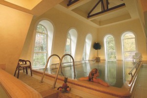 Kuren in Tschechien: Hallenbad des © Humboldt Park Hotel & Spa Karlsbad Karlovy Vary