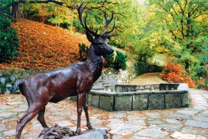 Kuren in Tschechien: Umgebung des Parkhotel Richmond in Karlsbad Karlovy Vary